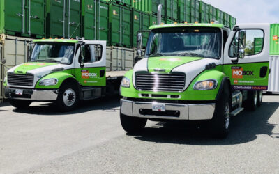 Antique and Collectible Storage: Shielding Your Valuables with Mobox Storage