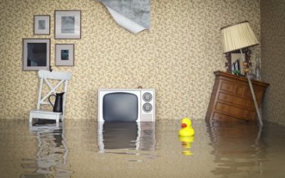 Flooding Got You Down? Here’s some tips and tricks for dealing with the aftermath…